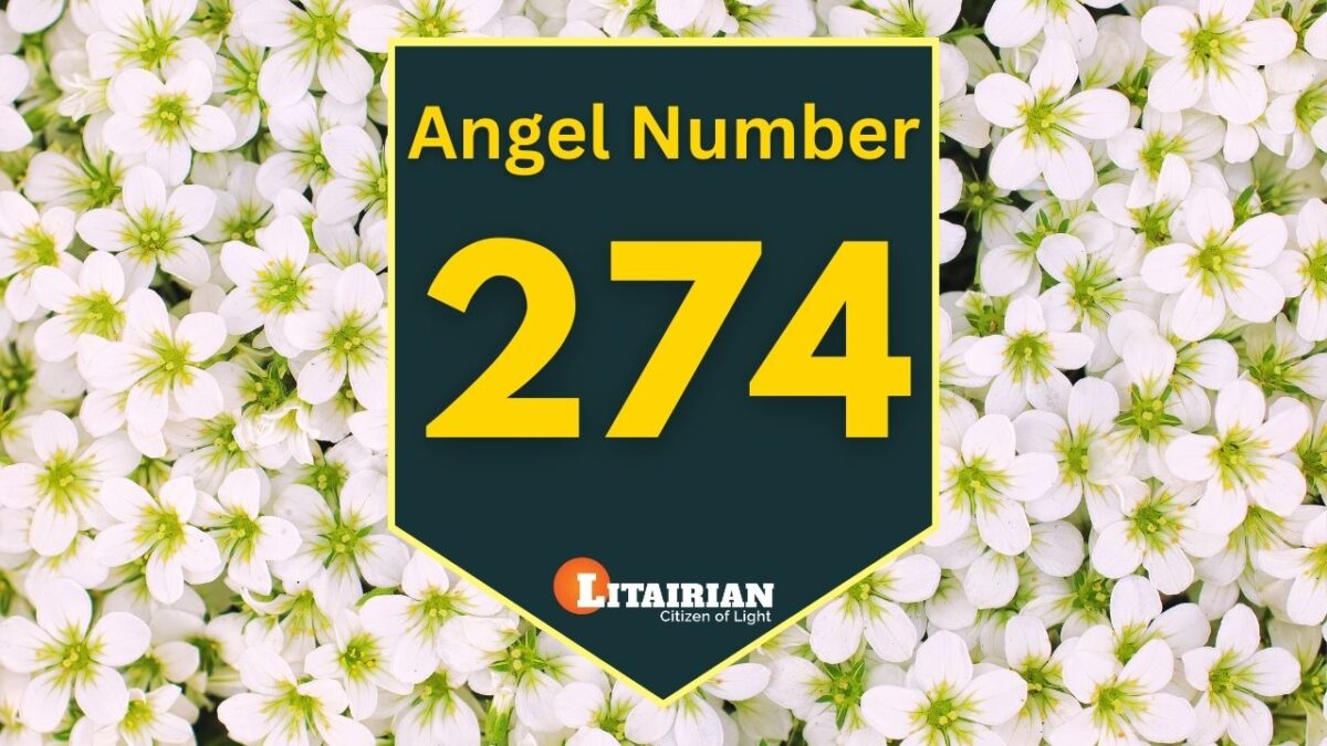 Angel Number 8989 The Ascended Masters – Angel Number