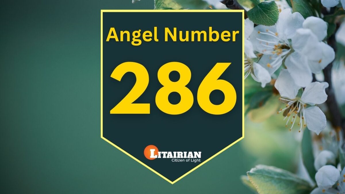 Realigning Your Life with Destiny Through Angel Number 0011 – Angel Number