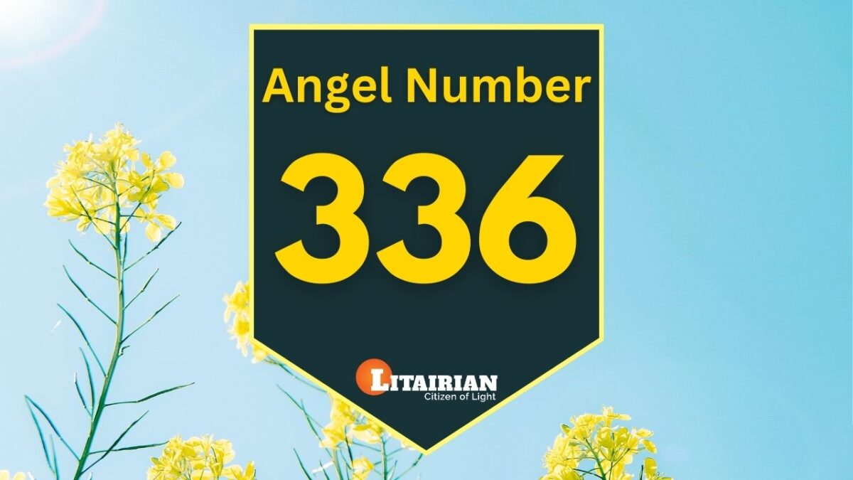 The Deeper Meaning of Angel Number 336 – Angel Number