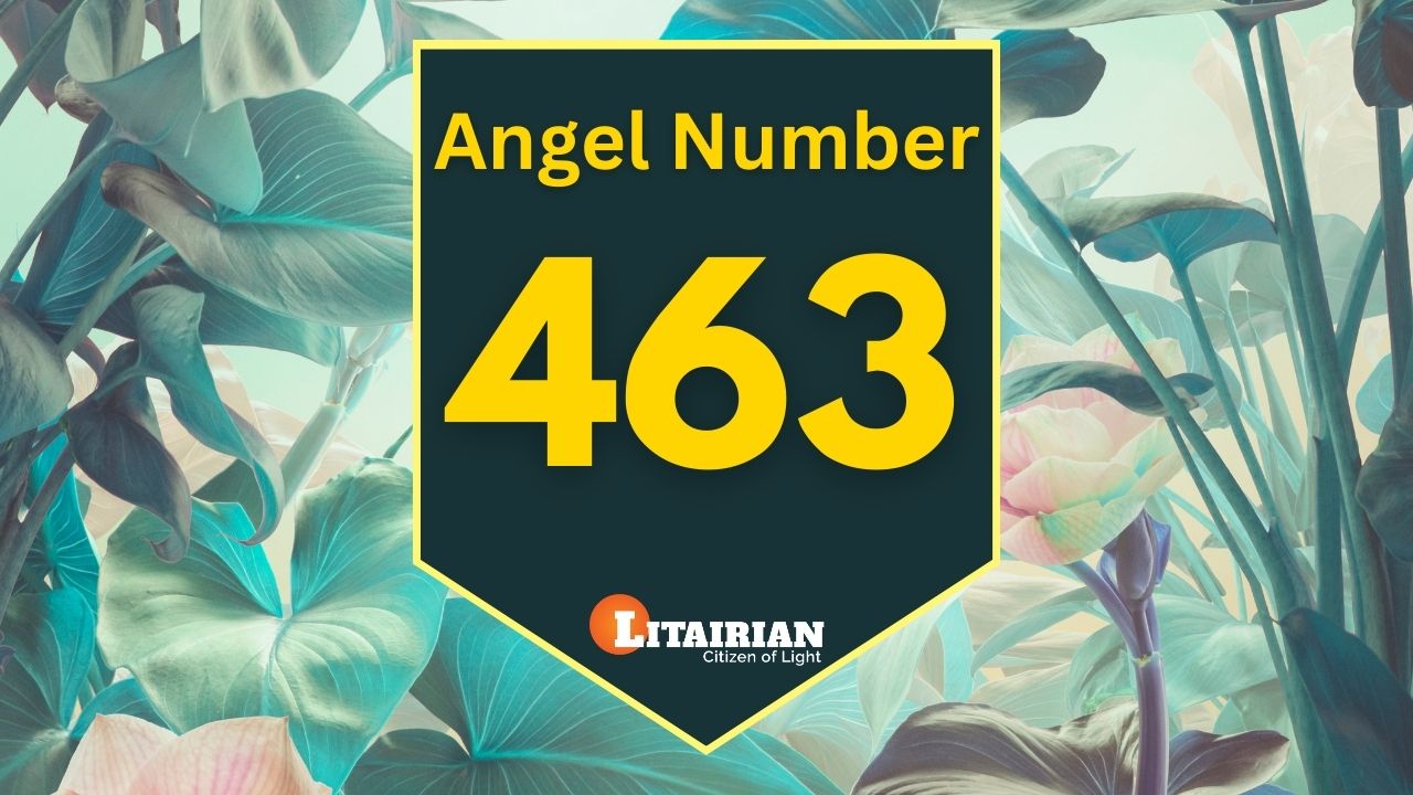 Challenge Yourself Angel Number 463