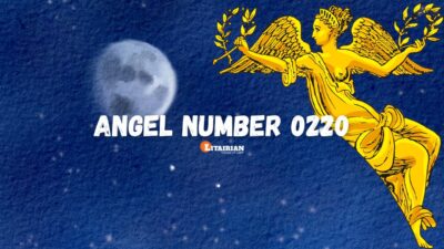 Angel Number 0220 Meaning Cooperation, Discipline, and Resilience ...