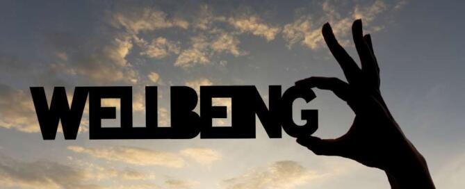 Navigating Healthcare and Public Health: A Guide to Well-being