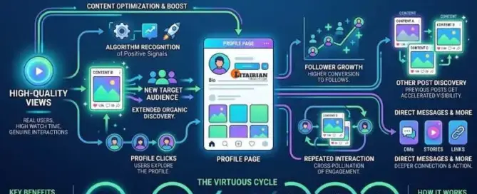 How High-Quality Views Accelerate Engagement Across Your Entire Profile