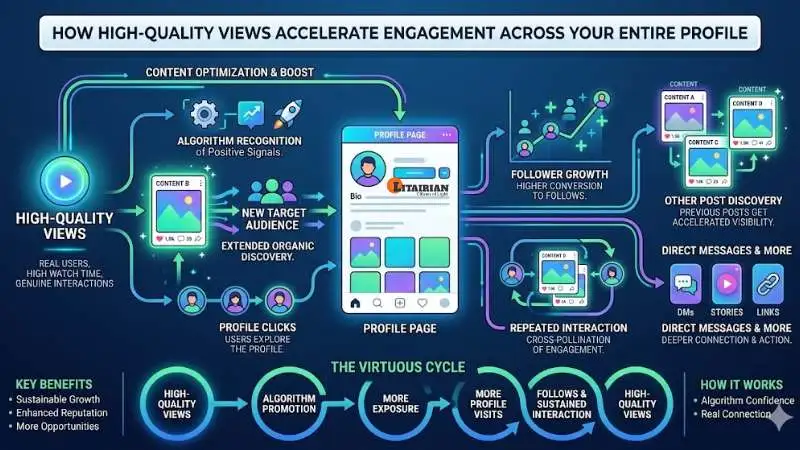 How High-Quality Views Accelerate Engagement Across Your Entire Profile