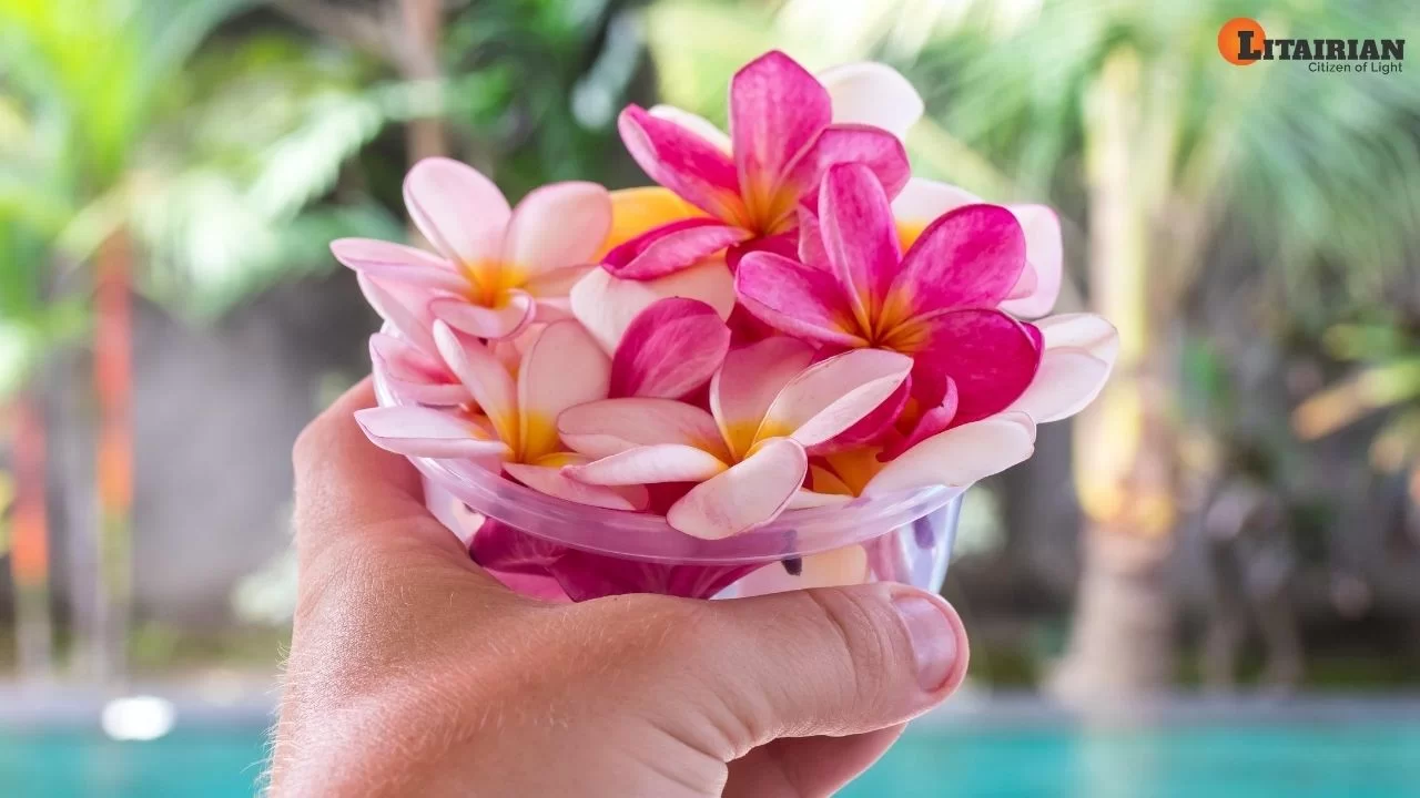 Addiction Treatment Within 3 Months Through Bach Flower