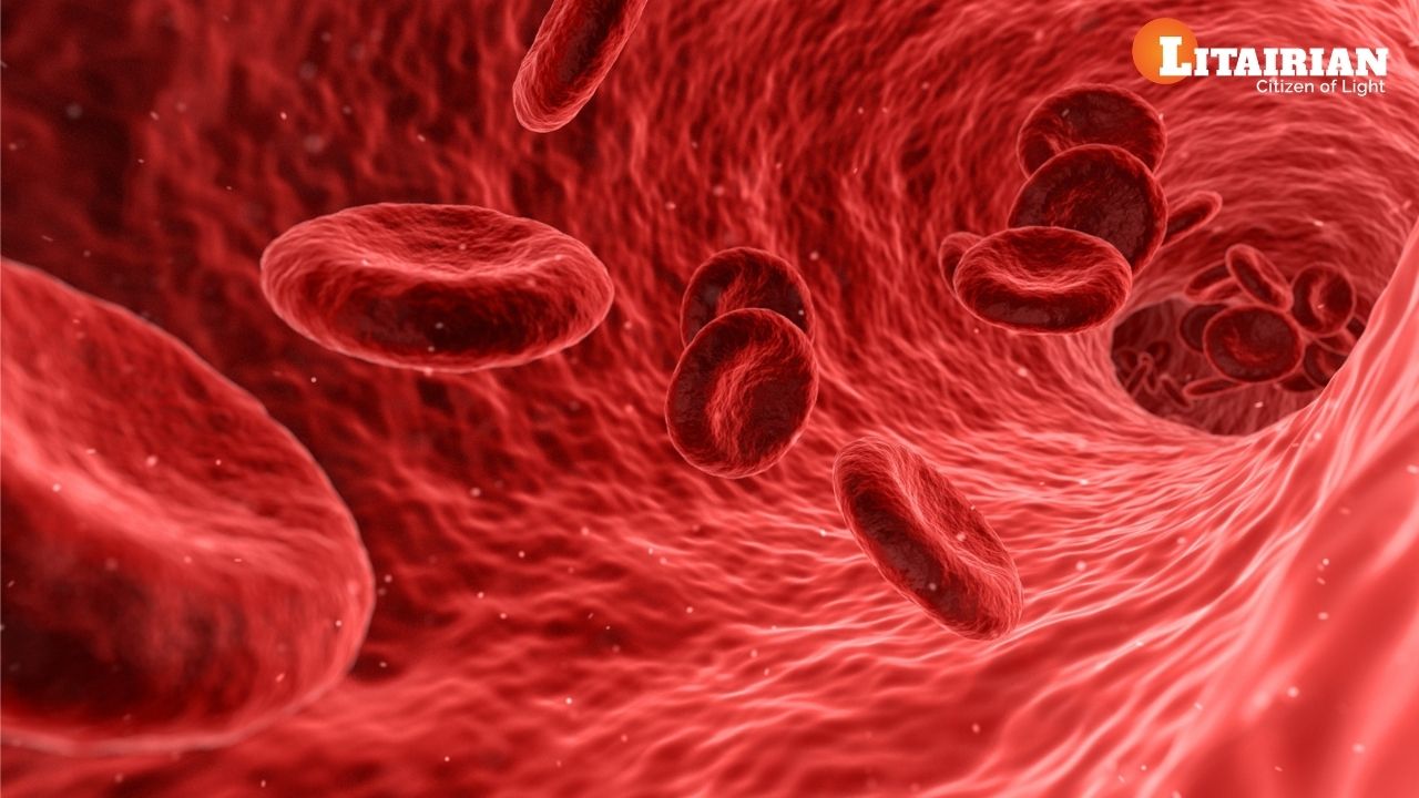 Anemia Natural & Instant Relief by Cosmic Codes Increase Blood Cells