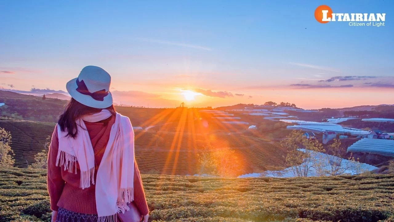 What is GOLDEN SUNRISE Switchword & How its Help to Create Magic