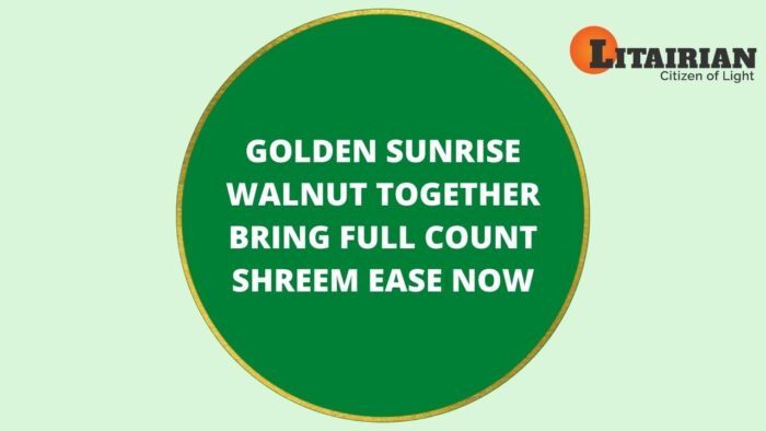 Money Recovery Energy Circle