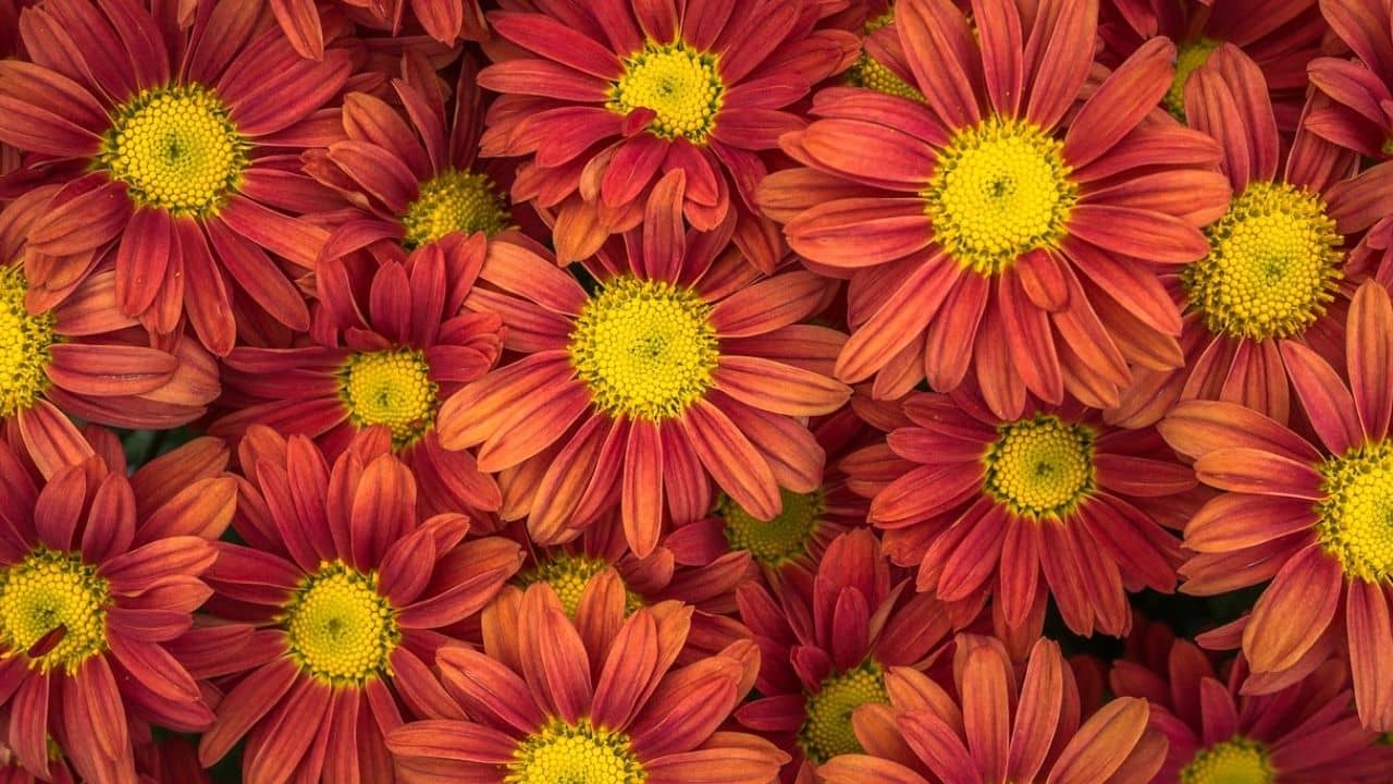 How To Create Powerful Energy Circle For Different Issues Part-2