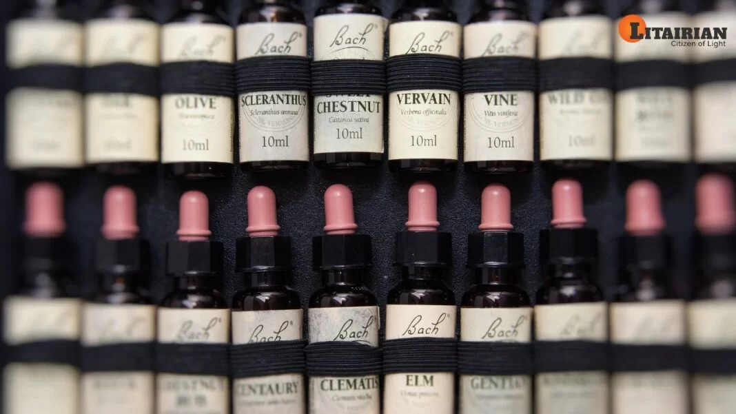 Bach Flower Remedies list of Bach Flower Remedies