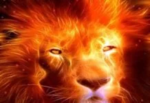 fire element benefits, fire element for money, fire element uses, fire element, fire element for enthusiasm, fire element for passion, fire element for courage, fire element for spirited, fire element for vigor,