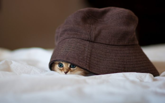 hiding- Litairian - Sharat Sir RATHER PEOPLE ARE HIDING VIBBES KADA