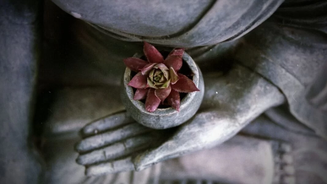Meditation power benefits Meditation power benefits