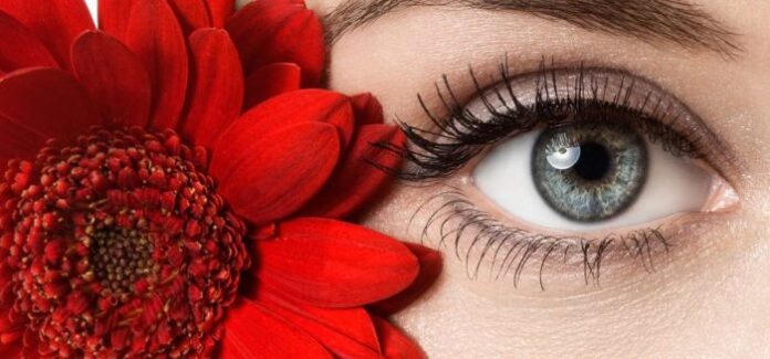 Eye Serum Vision Related Issues Healthy Eye Serum Vision Related Issues Healthy