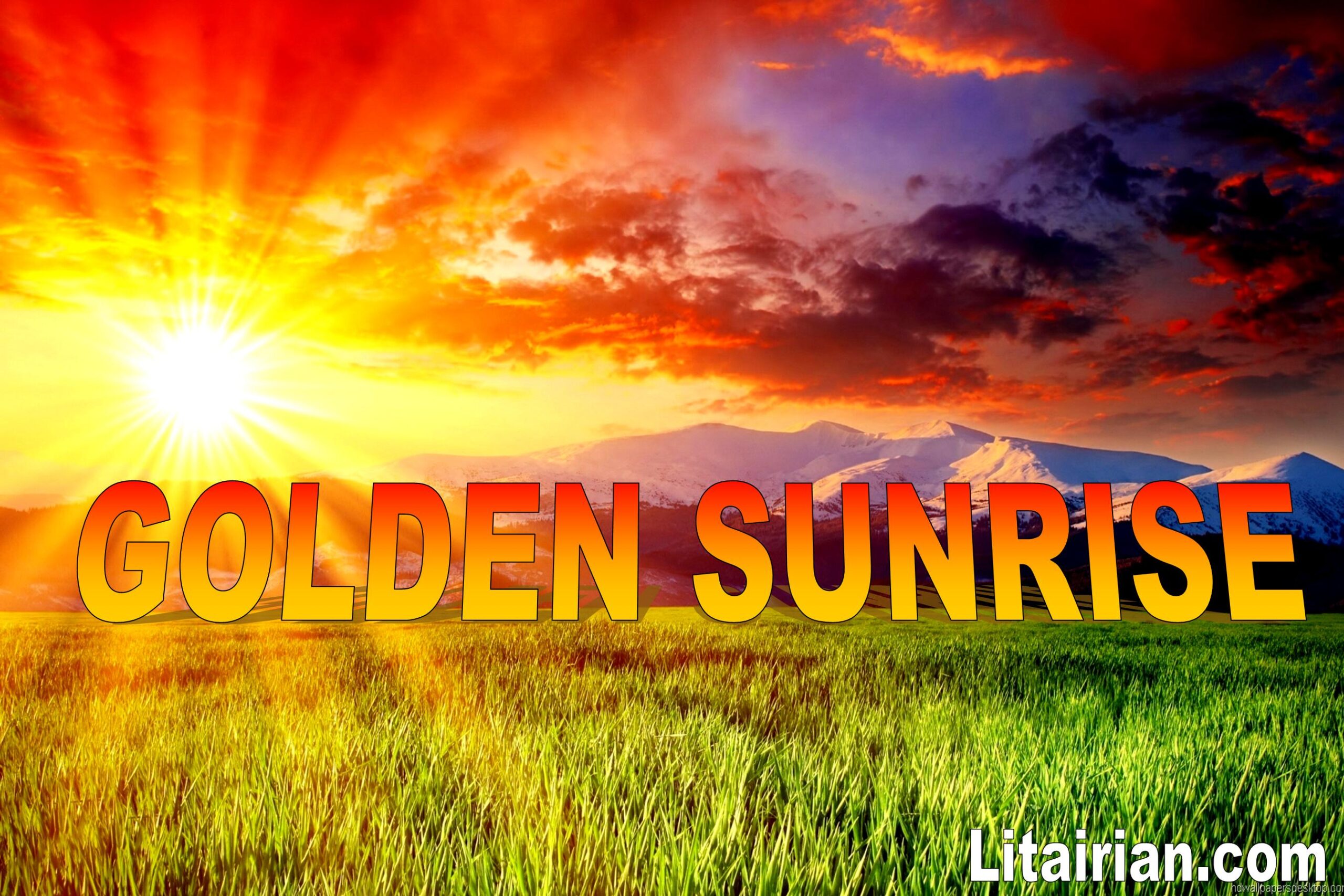 GOLDEN_Sunrise_wall_sticker