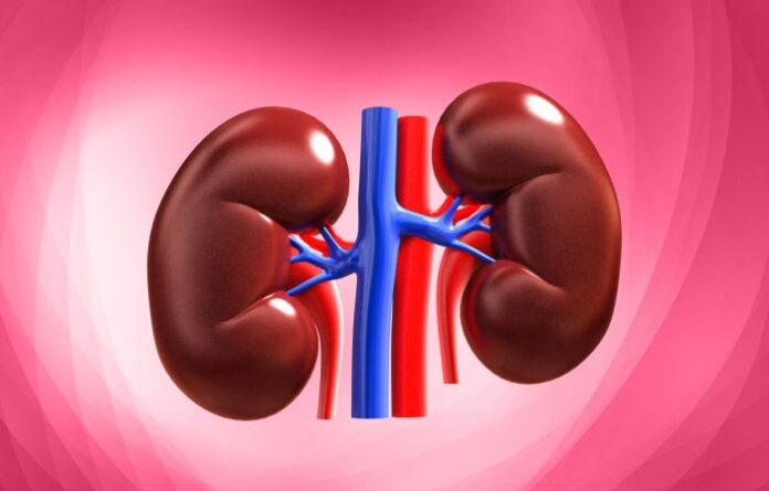 Key Pen Serum {KPS} - Care For Kidneys Pancreas Diabetes & Sugar Balance (CS-12)