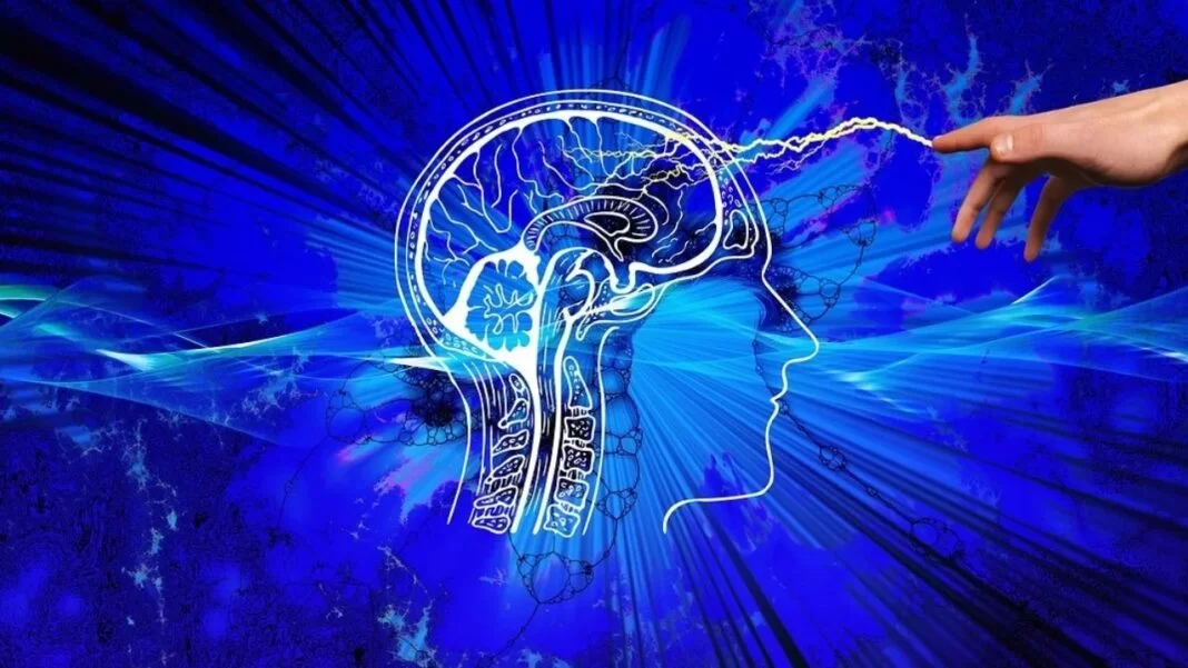 Brain Serum {BNS) to Ease Brain Related Issues (CS-24) Brain Serum BNS to Ease Brain Related Issues CS-24