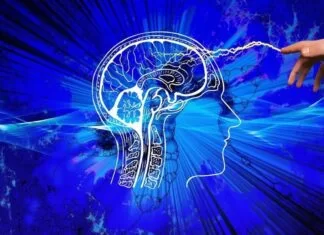 Brain Serum BNS to Ease Brain Related Issues CS-24