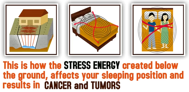 Geopathic Stress Test