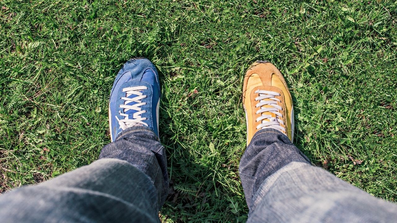 Difference between Switchwords CLEAR & CANCEL with Detailed Explanation