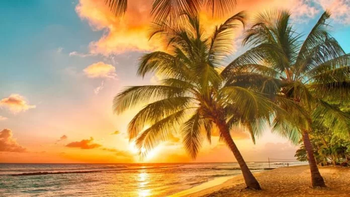 Few Experiences of Golden Sunrise Start A New Beginning ew Experiences of Golden Sunrise Start A New Beginning