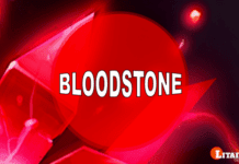 Bloodstone Heliotrope Gemstone Meaning Benefits Stone of Courage