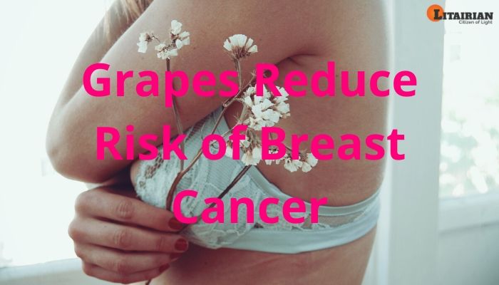 Grapes Reduce Risk of Breast Cancer
