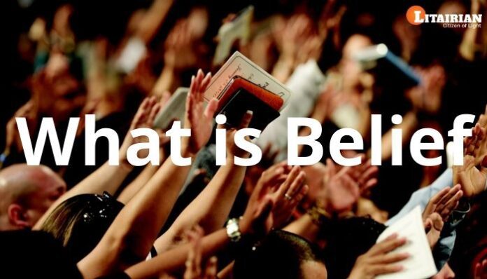 What is Belief What is Belief
