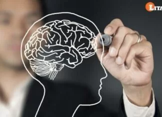 What is Mindfulness Meditation How to Practice Nine Skills of Mindfulness