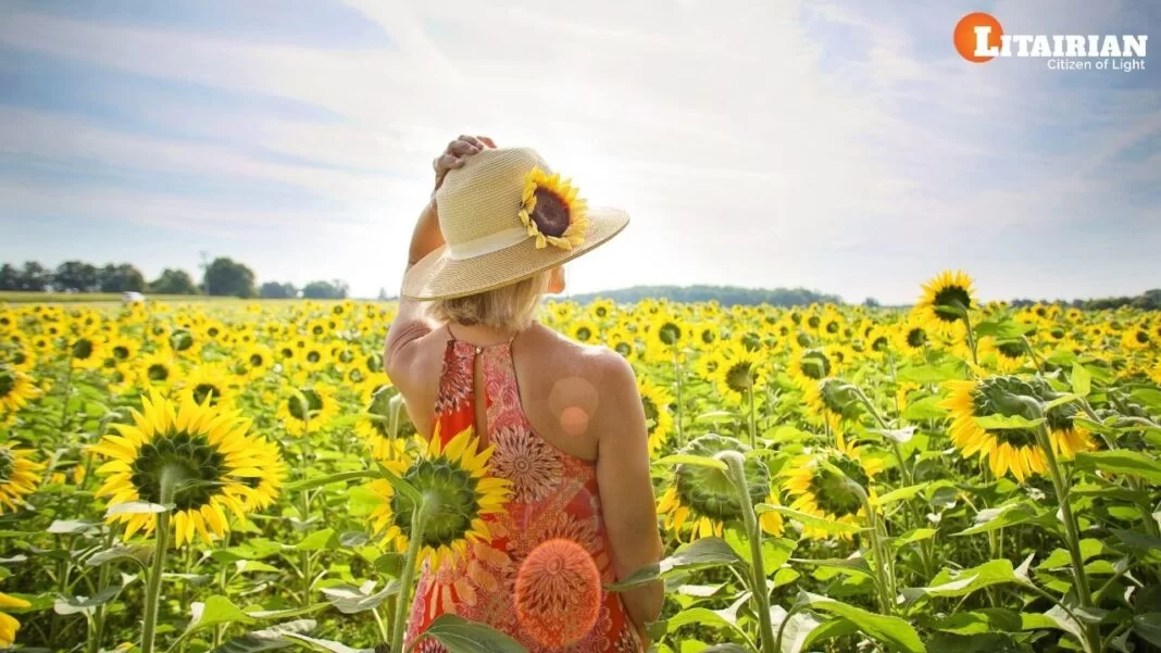 Vitamin D is Sufficient to Reduce the Risk of Death from Coronavirus Study Shows Vitamin D is Sufficient to Reduce the Risk of Death from Coronavirus Study Shows