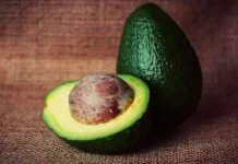10 Amazing Benefits of Avocado With 4 Avocado Recipes