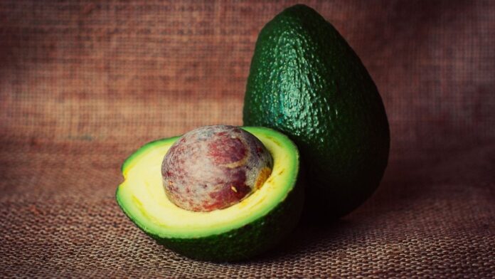 10 Amazing Benefits of Avocado With 4 Avocado Recipes