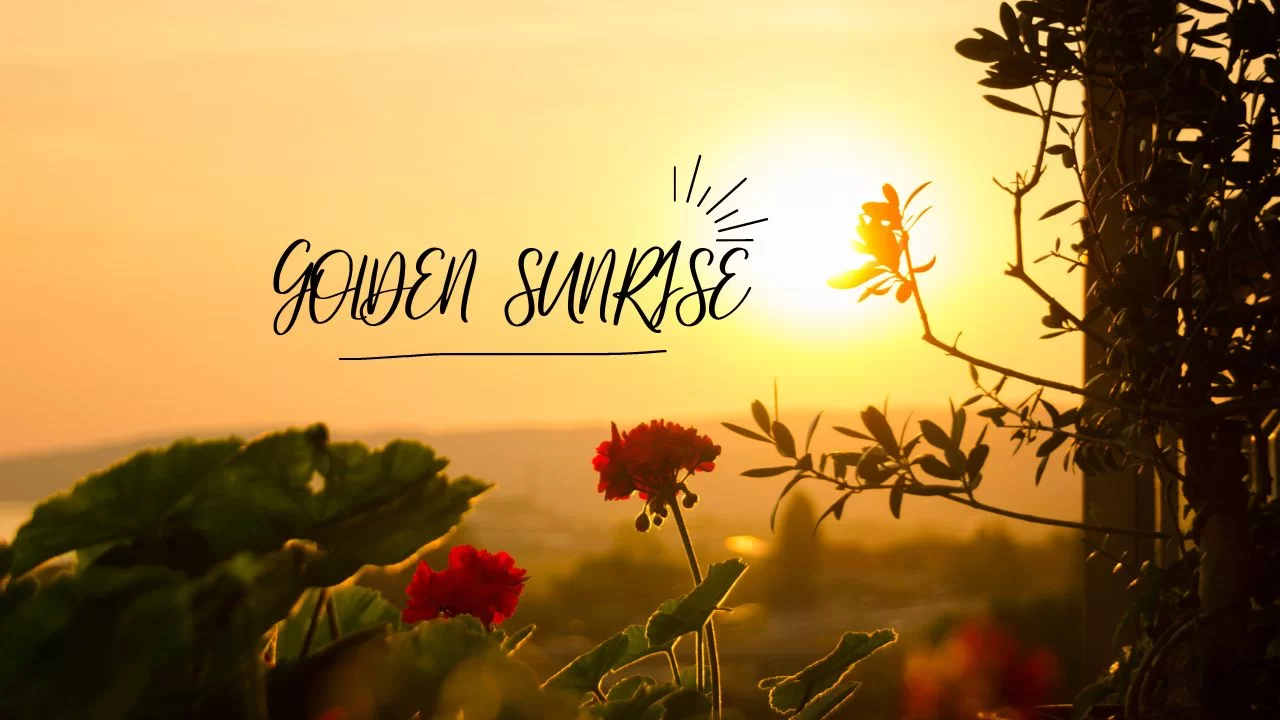 31 Wonderful Reasons To Chant GOLDEN SUNRISE To Change Your Life Completely