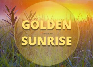 GOLDEN SUNRISE FOR OUTER APPEARANCE, FOR A FIT AND HEALTHY BODY AND FOR WEIGHT LOSS