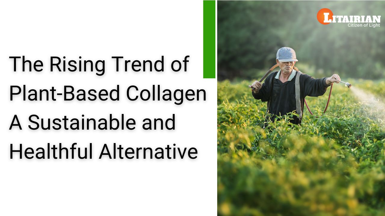 The Rising Trend of Plant-Based Collagen: A Sustainable and Healthful Alternative