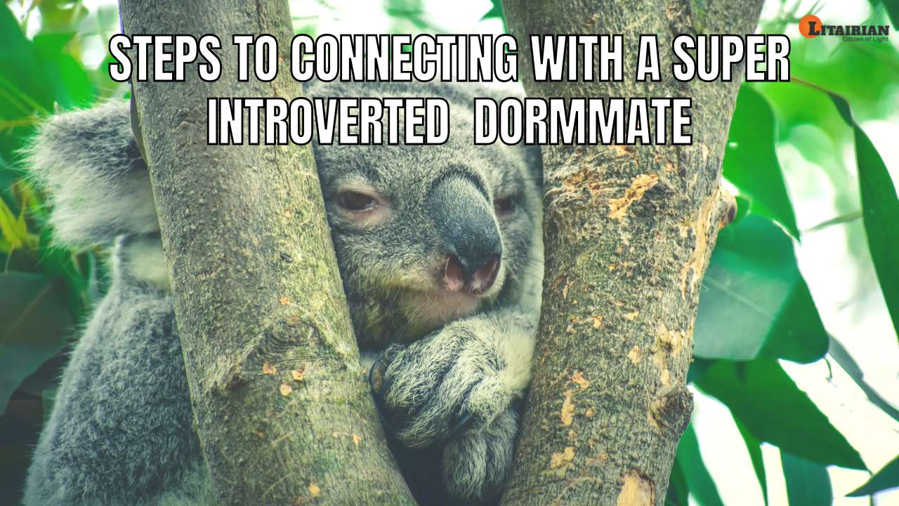 Steps To Connecting With A Super Introverted Dormmate